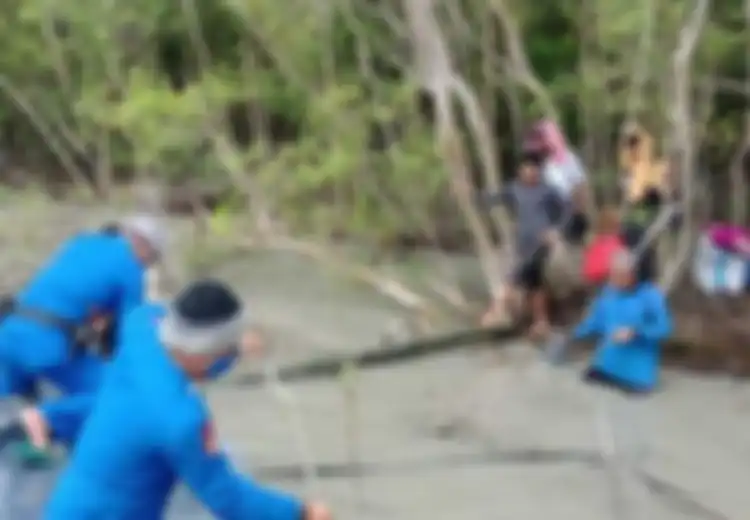 Viral 13 TKI Ilegal Ditemukan Terlantar di Hutan Bakau, Ngaku Tak Makan Selama 2 Hari Tapi Untungnya Negatif Covid-19