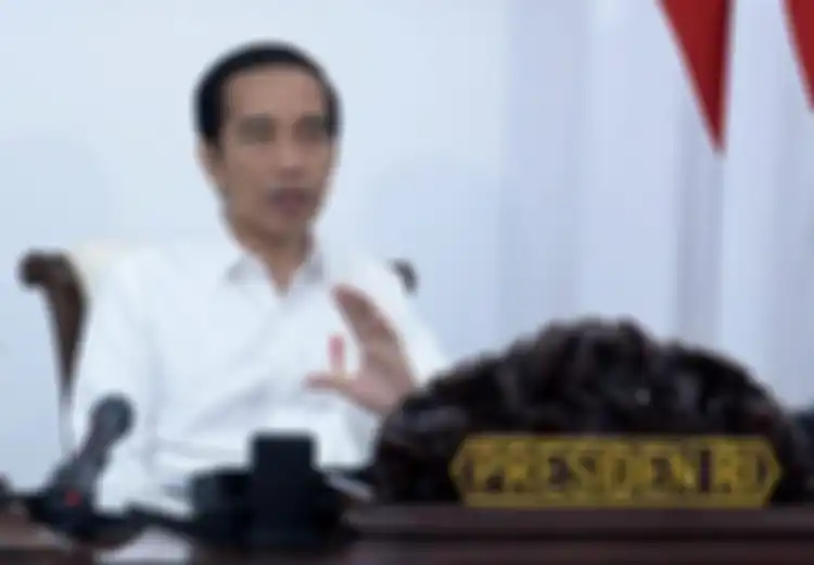 Dikenal Sebagai Penguasaha Mebel hingga 2 Kali Jadi Presiden, Sebenarnya Berapakah Kekayaan Presiden Jokowi?