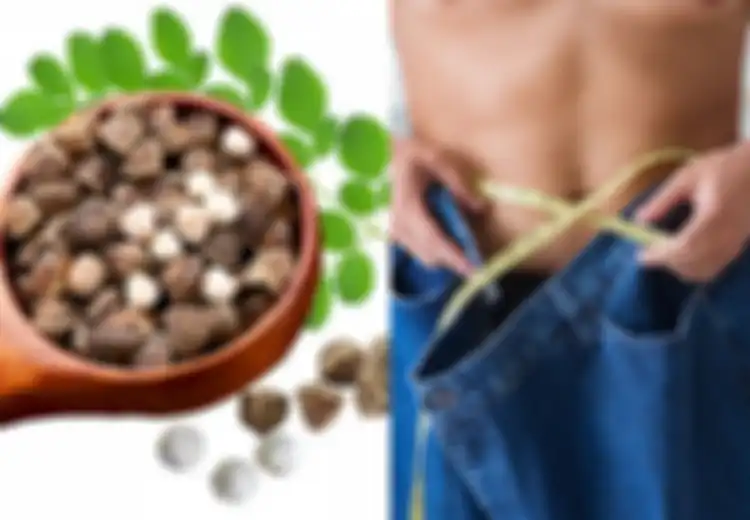 Manfaat Biji Kelor untuk Kesehatan Termasuk Turunkan Berat Badan