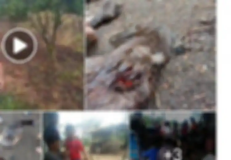 Berhari-hari Diburu, Makhluk Misterius yang Bikin Hewan Ternak Bebek hingga Babi di Tapanuli Mati Kehabisan Darah Belum Juga Ketemu, Diduga Makhluk Mistis Ini Pelakunya