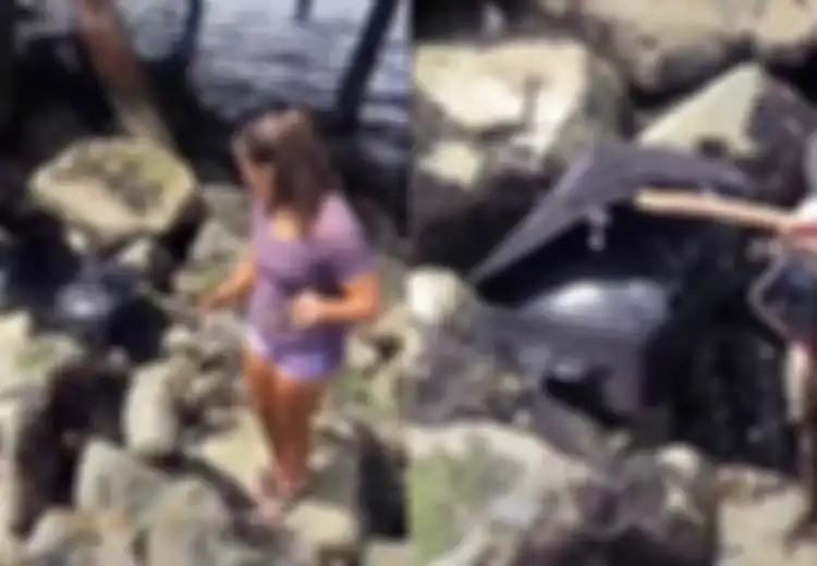Mengira Isinya Segepok Uang, Wanita Ini Syok Bukan Main Setelah Mengetahui Kebenaran di Balik Koper Misterius yang Ditemukan di Tepi Sungai itu
