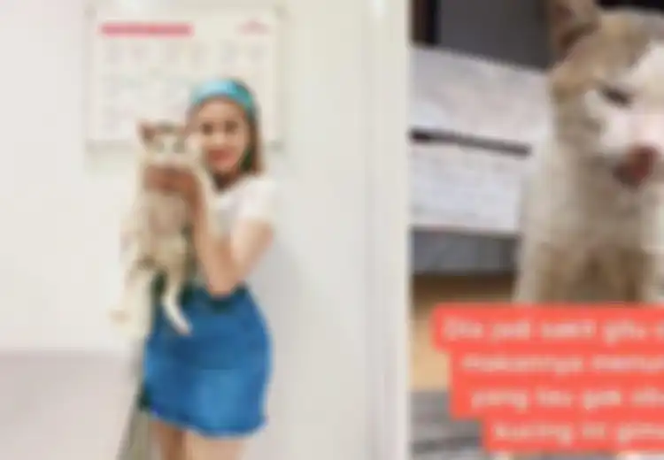 Viral Kucing yang Diam Seperti Patung itu Dibawa Awkarin ke Klinik Hewan dan Diinfus, Apa Hasil Diagnosa Dokter? Ini Dia!