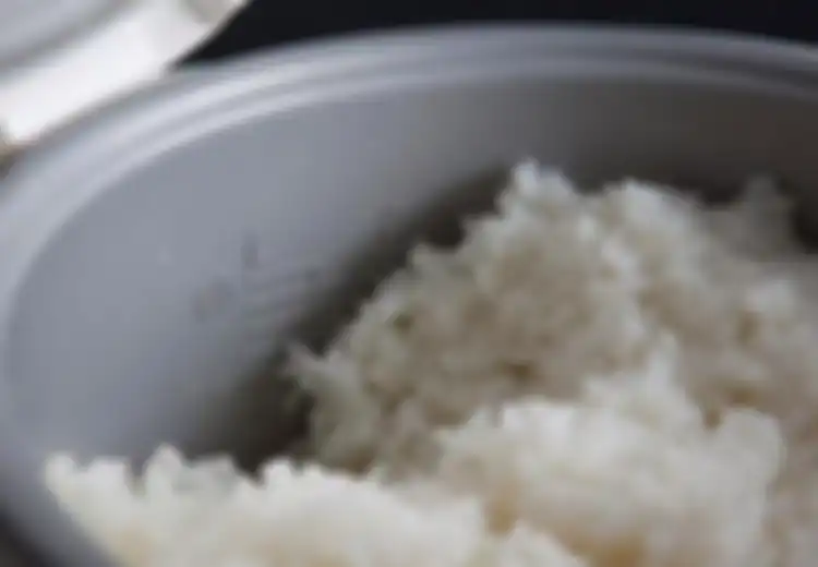 Tak Disangka, Nasi di Rice Cooker Cepat Kering Ternyata karena 4 Kesalahan yang Sering Dilakukan Ini, Mulai Sekarang Bisa Dihindari!