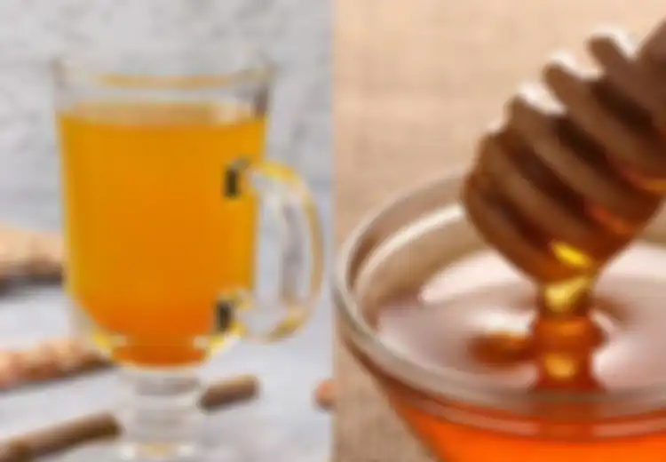 Rutin Minum Ramuan Kunyit dan Madu Saat Perut Kosong Beri Manfaat Ini