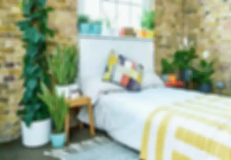 Mau Rumah Sejuk Tanpa AC? Bisa Kok! Ini 7 Tips yang Bisa Dilakukan, Salah Satunya Menghias Ruangan dengan Tanaman