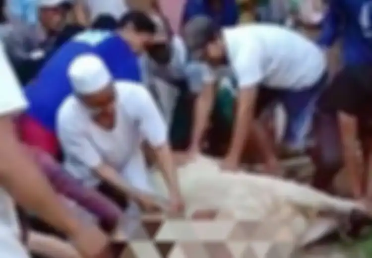 Viral Seorang Guru Ngaji dengan Riwayat Penyakit Jantung Meninggal saat Menyembelih Sapi Kurban, Diduga Kelelahan, Ini Hal-hal yang Bisa Memicu Serangan Jantung 