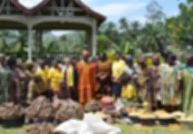 Dua Istri Saja Tak Cukup, Inilah Raja Abumbi yang Memiliki Istri Berjumlah 100 Orang, Tetapi 72 Istrinya Ternyata Warisan dari Ayahnya, Segini Jumlah Anaknya