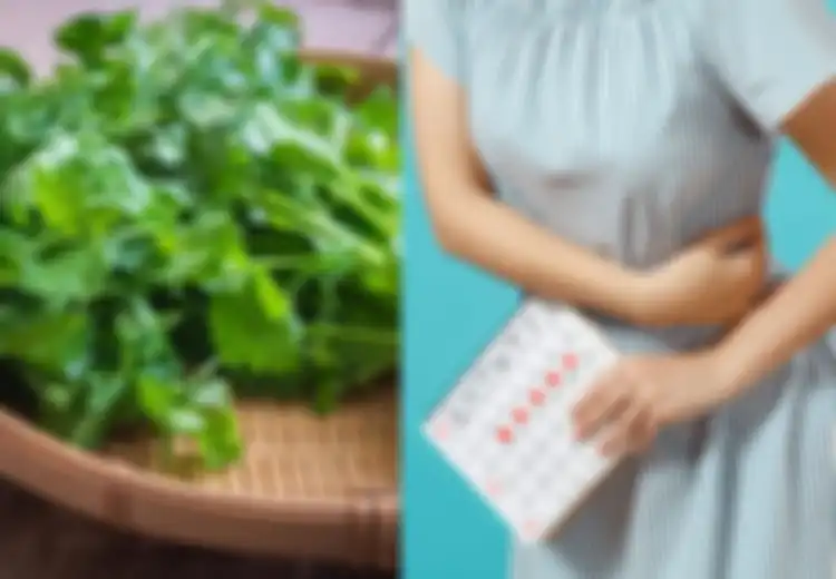Manfaat Kesehatan Daun Ketumbar,  Peradangan Hingga Masalah Menstruasi