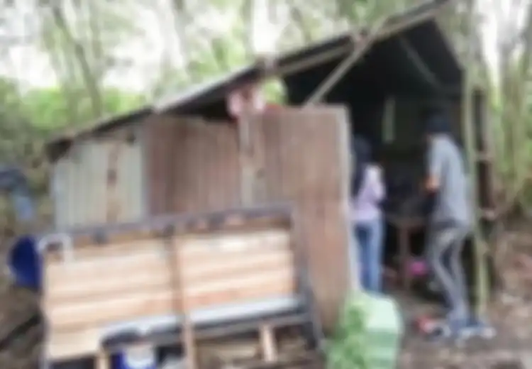 Miris, Selama 1 Tahun, Remaja Ini Tinggal di Bekas Kandang Ayam Bersama Ibu dan Adiknya, Ngaku Sering Diejek Teman Namun Kini Sudah Kebal