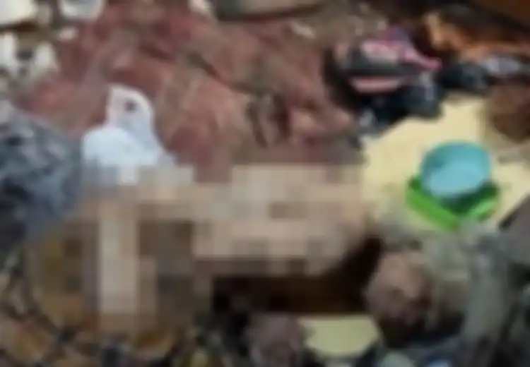 'Dijaga' Ayam dan Kucing, Nenek 76 Tahun di Tasikmalaya Ini Ditemukan Tergeletak Lemah Setelah 2 Hari Tak Terlihat