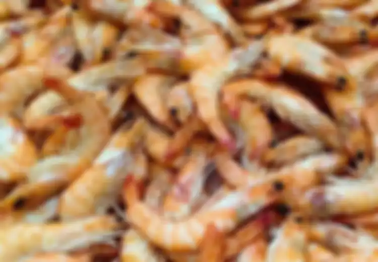 Ngeri, Tak Sengaja Tertusuk Udang, Tangan Pria Ini Nyaris Membusuk dan Hampir Tewas, Dokter Sebut Hanya Ini Cara Untuk Menyelamatkan Nyawanya