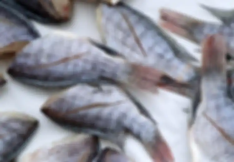 Ingat, Jangan Pernah Beli Ikan dengan Ciri-ciri Berikut Ini, Karena Bahayakan Kesehatan Keluarga! Kenali  Ciri-ciri Ikan Segar dan Layak Konsumsi Seperti Ini!