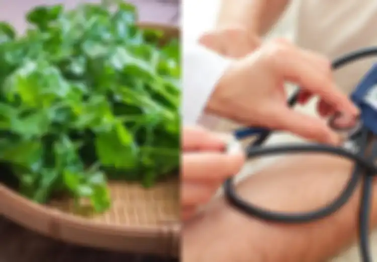 9 Manfaat Kesehatan Luar Biasa Daun Ketumbar, Kontrol Tekanan Darah