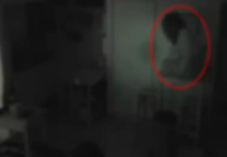 Makanan di Kulkasnya Terus-terusan Menghilang Secara Misterius, Pemilik Rumah Lalu Memasang CCTV, Langsung Kaget dan Tak Percaya Setelah Melihat Pelakunya