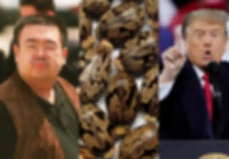 Termasuk Saudara Tiri Kim Jong-Un, Ini Daftar Pesohor yang Terjerat Kasus Racun Risin, Ada yang Dikirimi Biji Buah yang Jadi Sumber Racunnya Ini