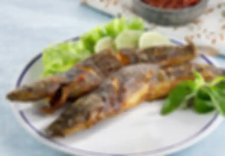Ini Rupanya Rahasia Goreng Lele Biar Kriuk Kering dan Gurih Seperti Pedagang Pecel Lele, Kuncinya Cuma Lumuri Ikan dengan Bahan Dapur Ini