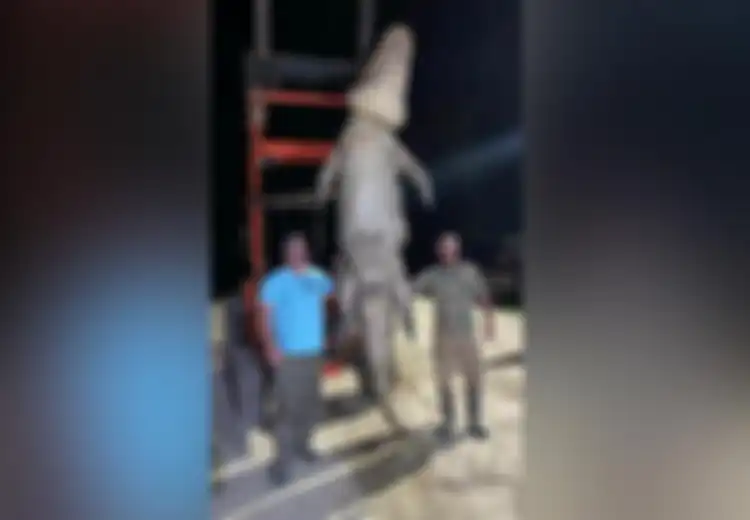 Setelah 3 Tahun Bermimpi, Akhirnya Pria Ini Berhasil Tangkap Buaya Raksasa Usai Dikuntit di Sungai: 'Terbesar yang Pernah Saya Lihat'