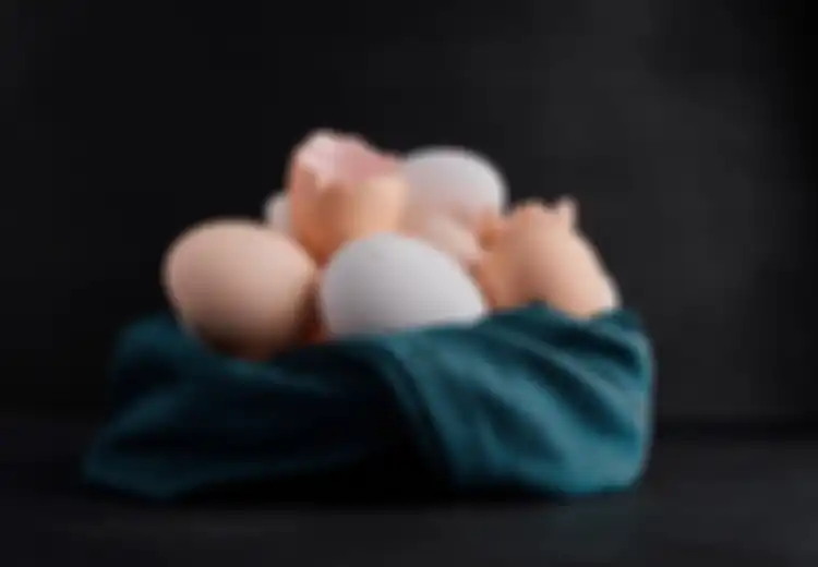Mulai Sekarang Coba Taburi Pot Tanaman Kesayangan dengan Kulit Telur, Manfaat Kulit Telur Bisa Mengatasi Masalah Ini, Pecinta Kucing Tak perlu Galau Lagi!
