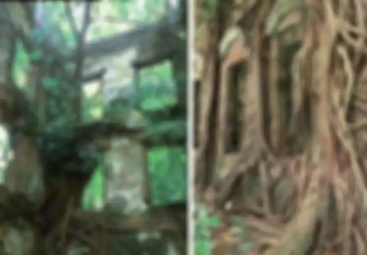 Tampilannya Menyeramkan, Rumah Berhantu di Taiwan Ini Dijual Seharga Rp6,4 Miliar, Memang Apa Istimewanya?