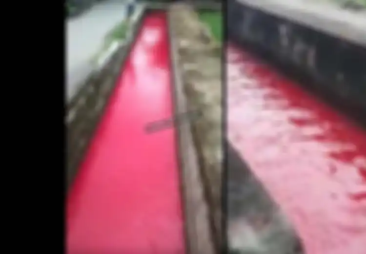 Air di Sungai Ini Tiba-Tiba Berubah Merah, Air Sempat Diambil Warga, Ternyata Ini Penyebabnya