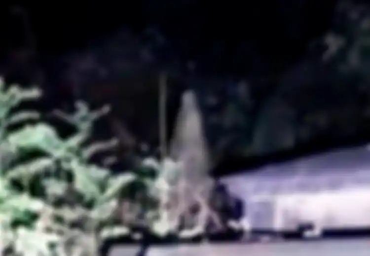 Pemburu Hantu Mengunjungi Kuburan dan Menangkap 'Roh' Istri Pedagang yang Hidup di Abad ke-19 dan Ujung Hidupnya Berakhir Tragis