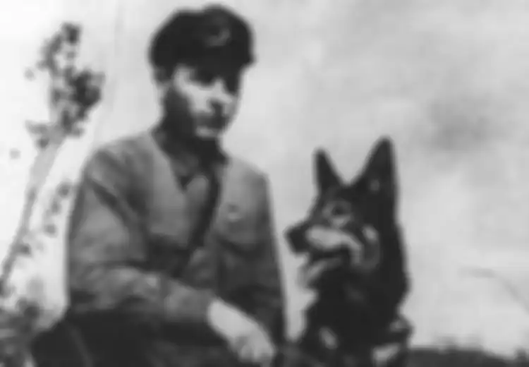 5 Senjata Paling Aneh Perang Dunia II, Ada Anjing Bom Bunuh Diri yang Dibiarkan Kelaparan dan Dilepaskan ke Tank Soviet!