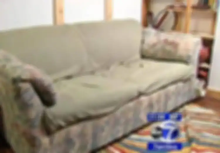 Beli Sofa Bobrok SehargaRp200 Ribuan, Pembeli Ini Malah Untung Besar Ada Harta Tak Terduga Tersembunyi di Dalam Sofa, Endingnya Mengejutkan