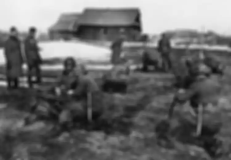 Berlatih di Pantai yang Hangat, Pasukan Khusus Ini Malah Membantu Jerman Bertarung di Wilayah Kutub, Inilah Blue Division yang Sukarela Membantu Pasukan Nazi Gulingkan Stalin di Perang Dunia Kedua
