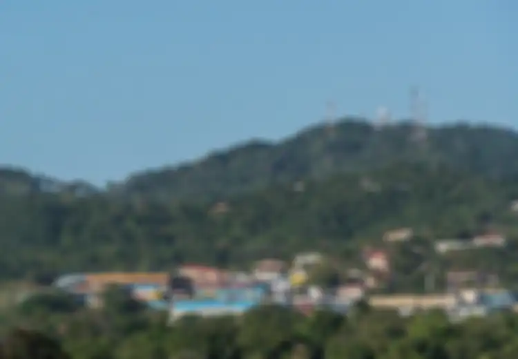 Melarikan Diri dari Kemiskinan, Lebih dari 8.000 Warga Honduras Nekat Bernondong-bondong Migrasi ke AS