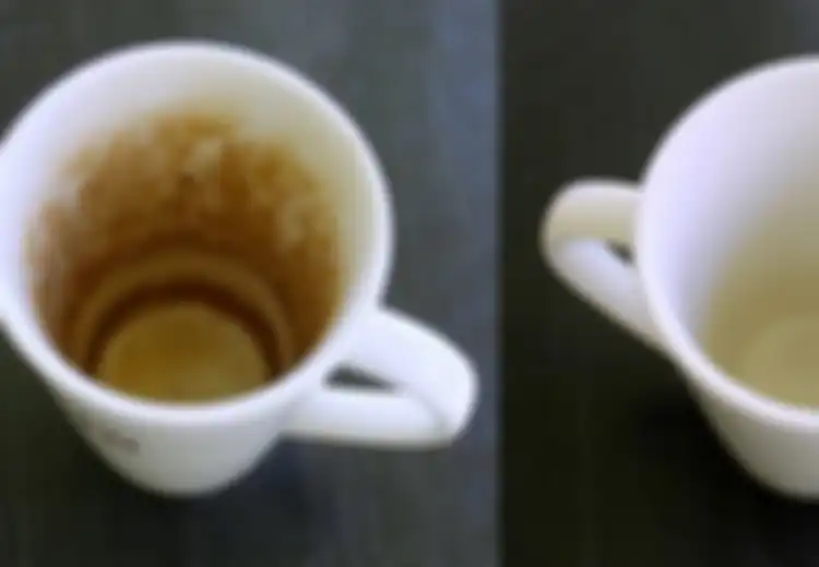 Hobi  Minum Kopi dan Teh Bikin Bagian Dalam Cangkir Berubah Warna, Gunakan Saja Baking Soda untuk  Hilangkan Noda, Begini Caranya!