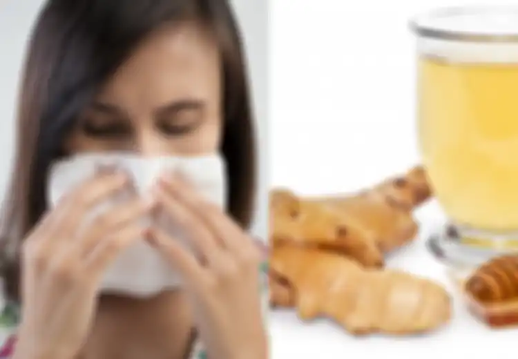 Mengatasi Hidung Tersumbat dengan 5 Pengobatan Alami yang Luar Biasa