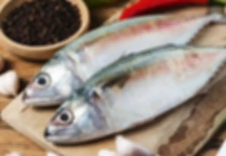 Pecinta Seafood Jangan Makan 5 Ikan Ini Kalau Ingin Hidup Anda Tetap Sehat, Salah Satunya Jenis Udang yang Pasti Menggugah Selera Rakyat Indonesia Ini!