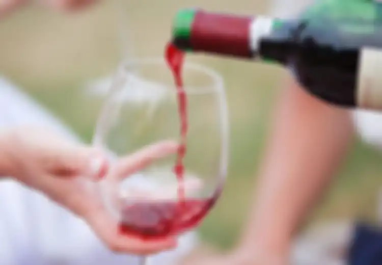 Skandal Wine Austria: Saat Manisnya Wine Austria yang 'Memabukkan' Eropa, Nyatanya Dipicu Zat Mematikan Perusak Ginjal
