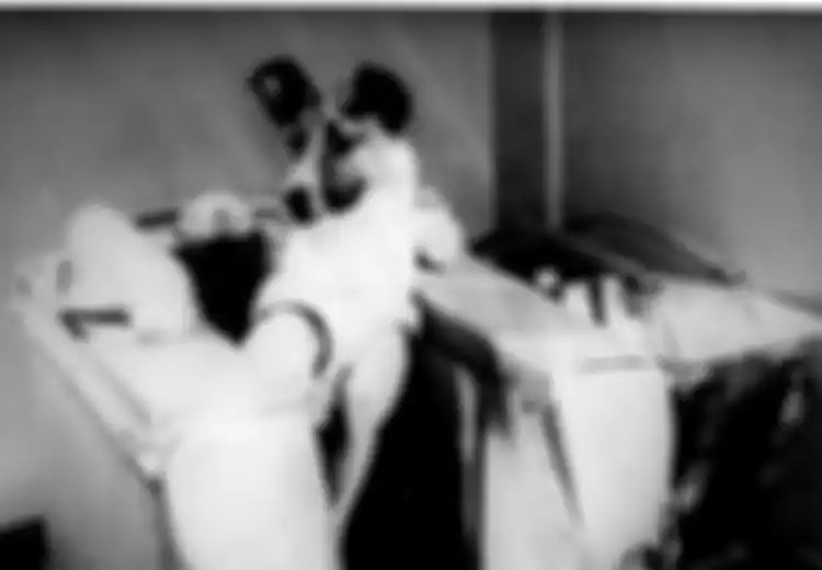 Uni Soviet Catatkan Sejarah Berhasil Kirim Orang Pertama ke Luar Angkasa Kalahkan AS, Demi Bisa Meraihnya Ini Sejumlah Anjing yang 'Ditumbalkan'