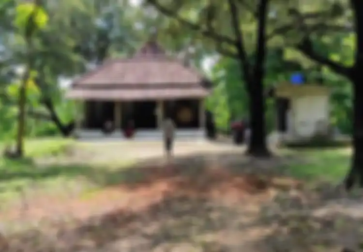 Kisah Kampung Mati di Ponorogo yang 5 Tahun Terakhir Tak Berpenghuni, Kades Meyakini Semua Tempat Pasti Punya Cerita Mistis Tersendiri