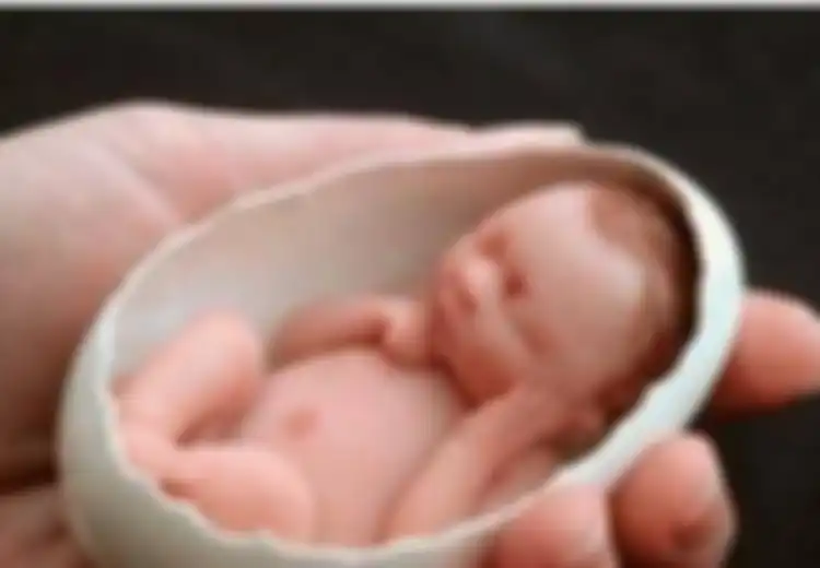 Dilahirkan Sebagai Bayi Terkecil di Dunia, Hingga Bisa Diletakkan Dalam Telur Ayam, Siapa Sangka Penampilan Bayi Mungil Ini Setelah Dewasa Bikin Pangling Banyak Orang