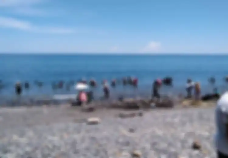 Tepat di Utara Pesisir Pantai yang Tiba-tiba 'Banjir' Emas, 3 Nyawa Lenyap oleh Hujan Panah Suku Pedalaman, Justru Saat Akan Berburu Emas