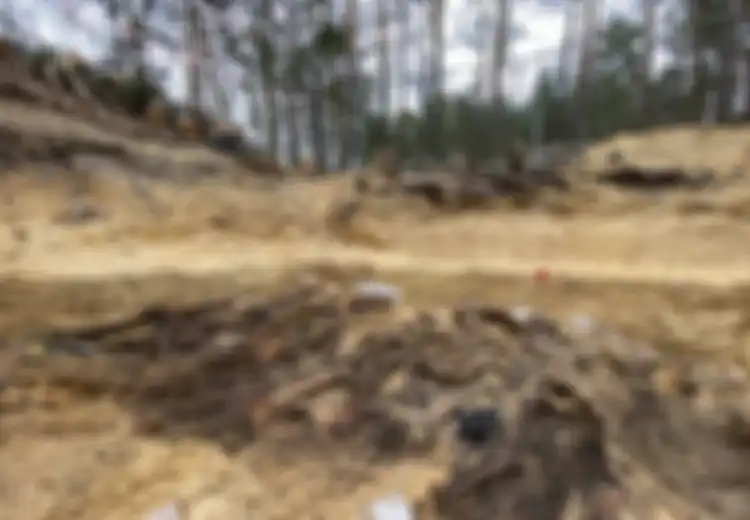 Berkat Ingatannya Waktu Masih Bocah, Pria Ini Bongkar Kejahatan Besar Nazi yang Nyaris Tidak Pernah Terungkap, Ada Bukti Mengerikan Terkubur Jauh di Tengah Hutan Polandia