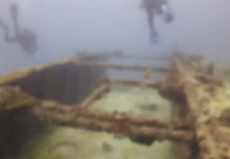 Bangkai Kapal Tanker Sisa Perang Dunia II Ini Ditemukan di Lepas Pantai Hawaii Jadi Rumah Bagi Banyak Spesies Tumbuhan dan Hewan