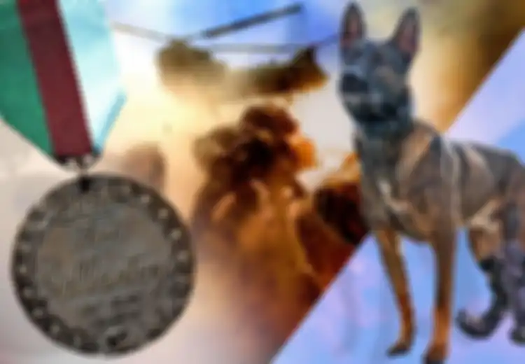 Kisah Kuno, Anjing Pekerja Militer Inggris, Tanpa Takut Pertaruhkan Nyawa Lawan Pemberontak Afganistan Hingga Harus Kehilangan Kaki, Dianugerahi Kehormatan Tertinggi untuk Hewan Pelayan