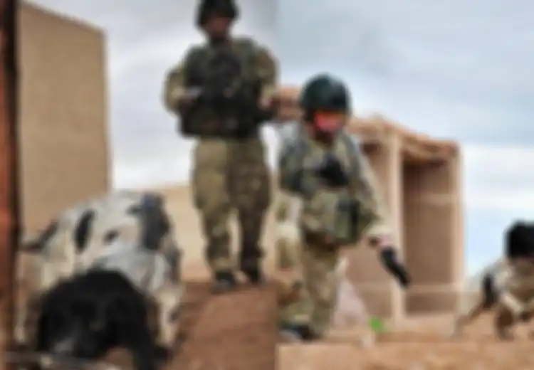 ‘Dia Adalah Salah Satu dari Kita’ Kisah Theo, Anjing Pelacak Senjata dan Bahan Peledak dalam Operasi Pemberontak di Afghanistan, Mati Tak Lama Setelah Pawangnya Tewas Karena Ulah Sniper