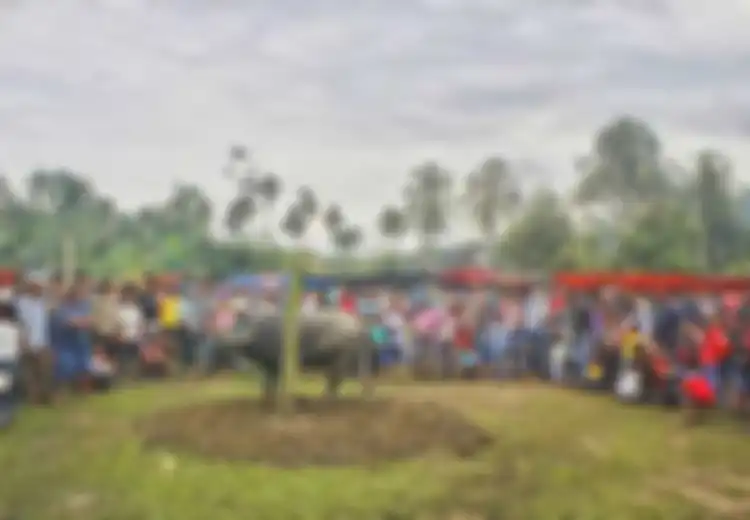 Tradisi Unik Ramadhan di Berbagai Daerah, Salah Satunya Bebantai di Jambi yang Haruskan Bantai Kerbau Sampai Puluhan Jumlahnya, Inilah Fungsinya Secara Perekonomian