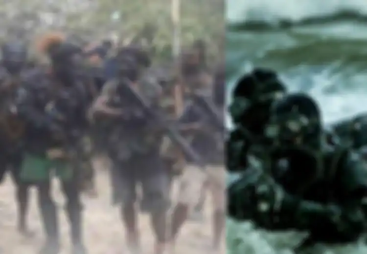 Dicap Sebagai Teroris, Viral 'Pasukan Siluman' Diduga Diturunkan untuk Tumpas KKB di Papua, Bahkan Pasukan Elite TNI AL Ini Sanggup Bikin Angkatan Laut Amerika Serikat Gentar!