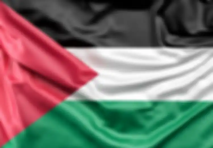 Inilah Bahasa Palestina yang Digunakan, dari Bahasa Utama Hingga Bahasa Resmi