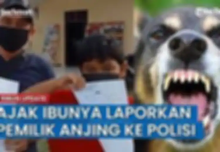 Sok-sokan Tantang Keluarga Korban hingga Mengaku Tidak Takut dengan Bobby Nasution, Nyatanya Pemilik Anjing yang Anjingnya Gigit Bocah 10 Tahun hingga Tewas Mendadak Kabur  