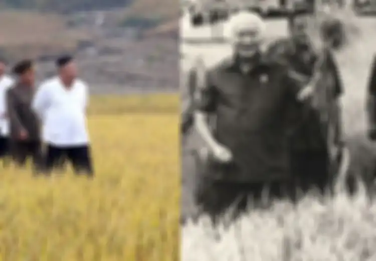 Sampai Paksa Warganya Hanya Makan Dua Kali Sehari, Inilah Krisis Pangan Korea Utara Pertama, Kala Kakek Kim Jong-Un Gagal Tiru Kebijakan Orde Baru Soeharto