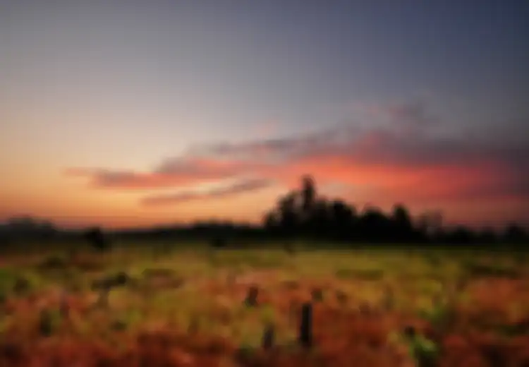 Disebut Edy Mulyadi Sebagai 'Tempat Jin Buang Anak', Rupanya di Kalimantan Ada Sebuah 'Kota Gaib' yang Tidak Terlihat, Hingga Kini Keberadaanya Masih Jadi Misteri
