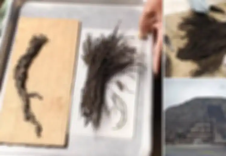 Berusia 1.800 Tahun, Buket Bunga Ini Ditemukan di Terowongan di Bawah Piramida Teotihuacán, Mexico, Kemungkinan Digunakan untuk Upacara Ritual