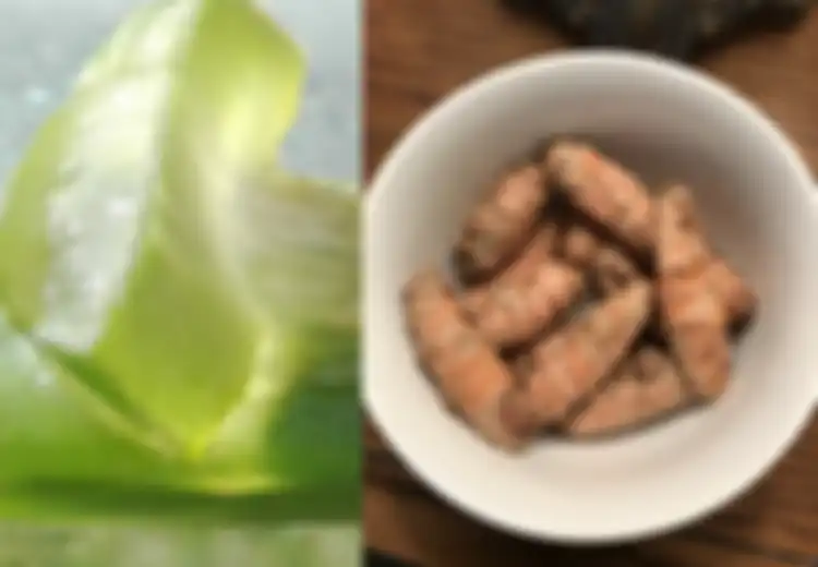 Oleskan Campuran Kunyit dan Gel Lidah Buaya Sebelum Tidur, Inilah 3 Resep Mengatasi Wasir secara Alami