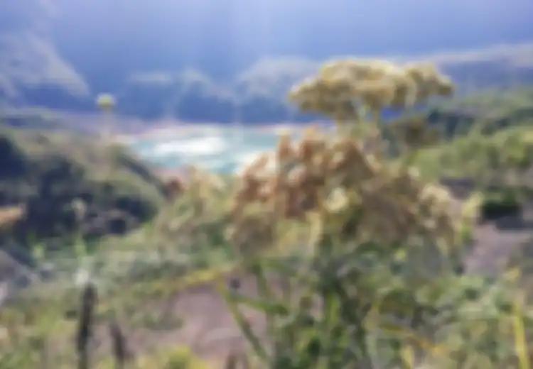 Mengunjungi Tempat Wisata di Kediri, Melihat 'Bunga Abadi' di Gunung Kelud, Tapi Ingat Jangan Memetiknya